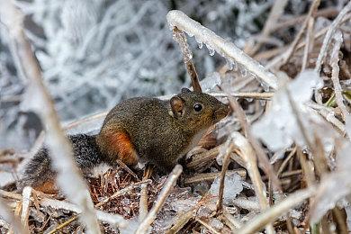 DEAD ISLAND 2现已推出粉碎加洲梦，血染洛惨矶