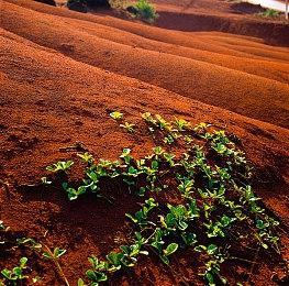 《师父》开发商Sloclap新游《开球》销量破百万 但无意扩张